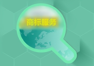 成都华风参加四川省驰著名商标讲座