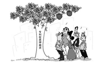 关于报送知识产权质押融资及专利保险试点、示范的通知