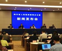 2015年四川省知识产权保护状况