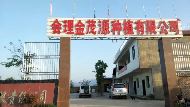 1.webp.jpg 1.webp.jpg